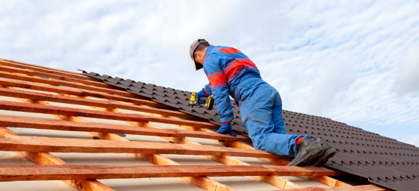 Best Metal Roofing Installation  in Mountain Village, CO