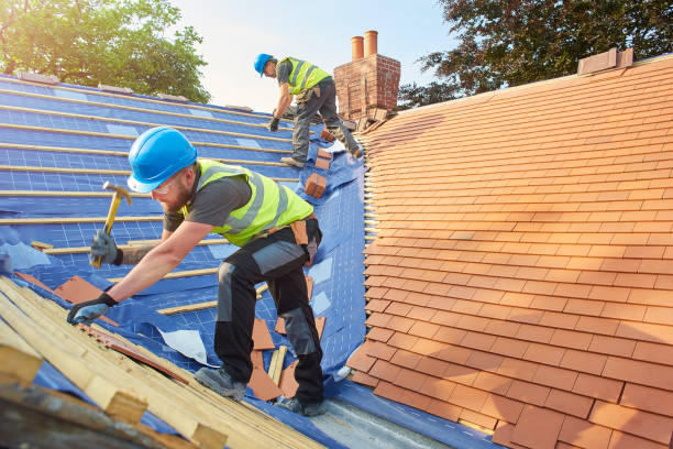 Best Roof Insulation Installation  in Mountain Village, CO